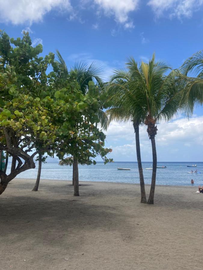 Ti Repos Martinique - Maison Avec Spa Schoelcher Esterno foto